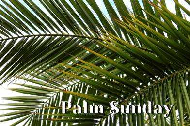 1. Palm Sunday